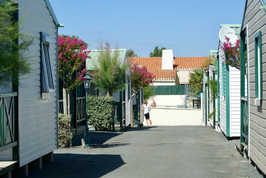 camping-les-tulipes-la-faute-sur-mer-nt6jg