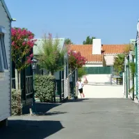 camping-les-tulipes-la-faute-sur-mer-nt6jg