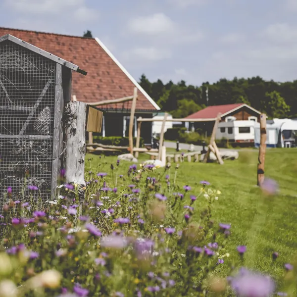 camping-de-bovenberg-markelo-fhczw