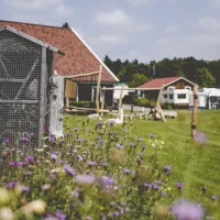 camping-de-bovenberg-markelo-fhczw