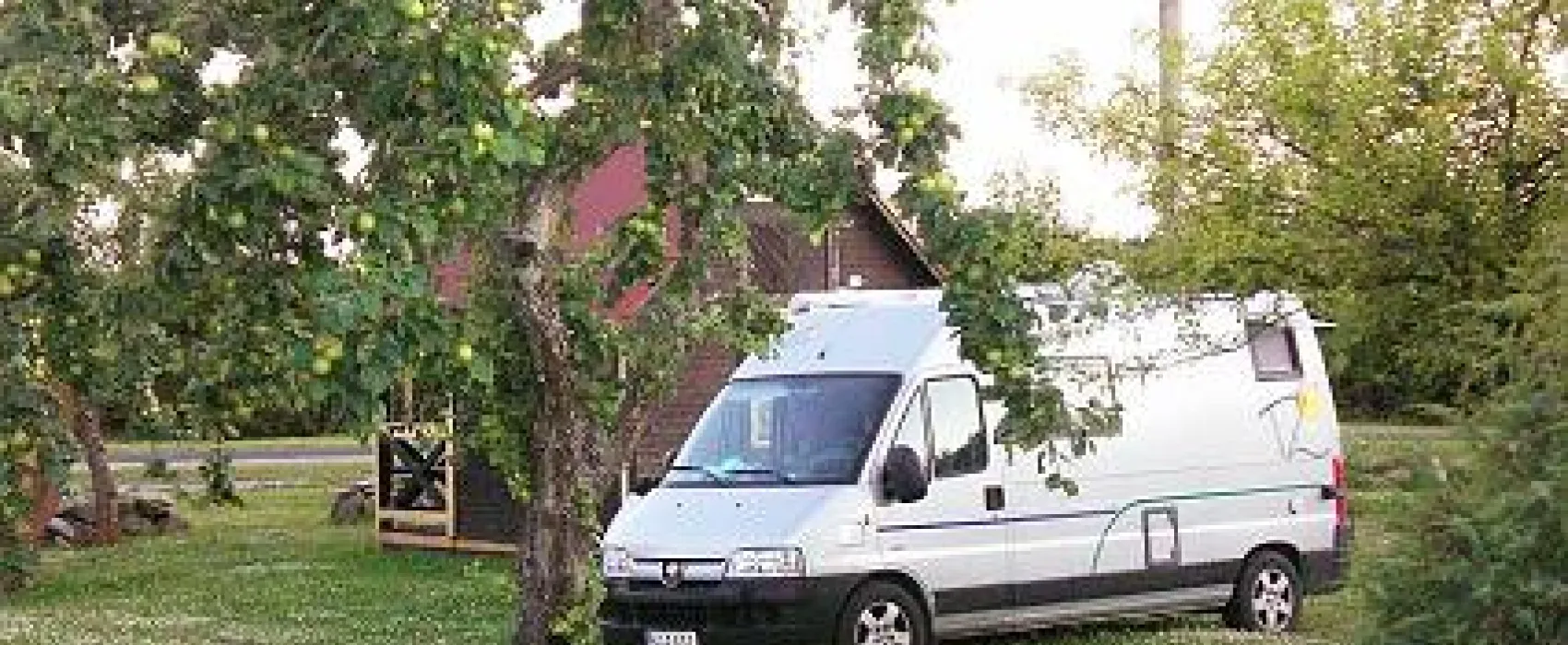 Camp Vetsi Tall