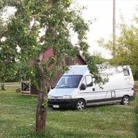 Camp Vetsi Tall