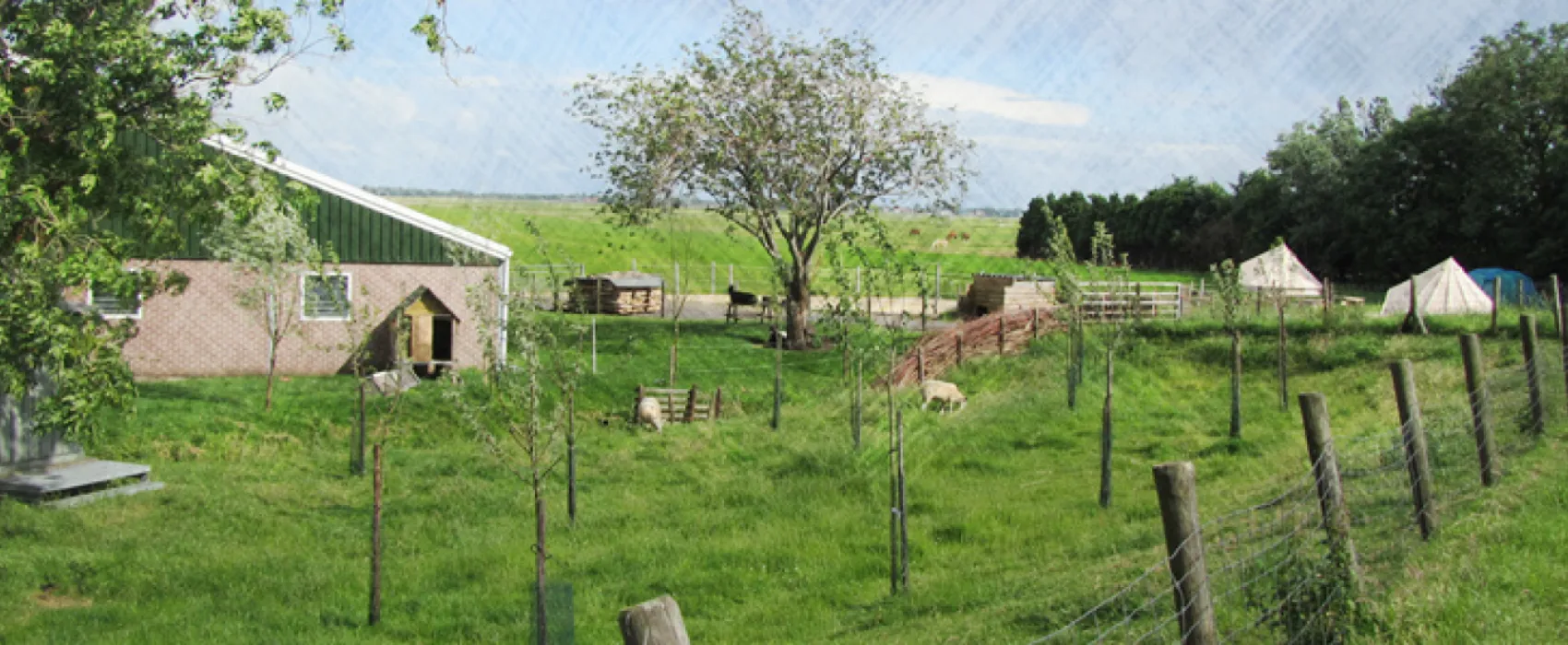 Boerententencamping
