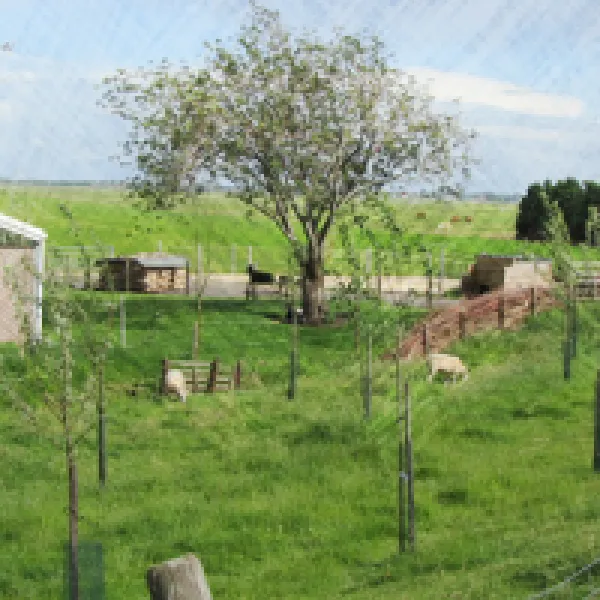 boerententencamping-ouderkerk-ad-amstel-okgho