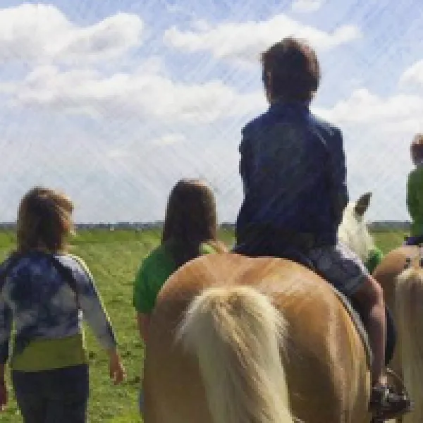 boerententencamping-ouderkerk-ad-amstel-vx2iy