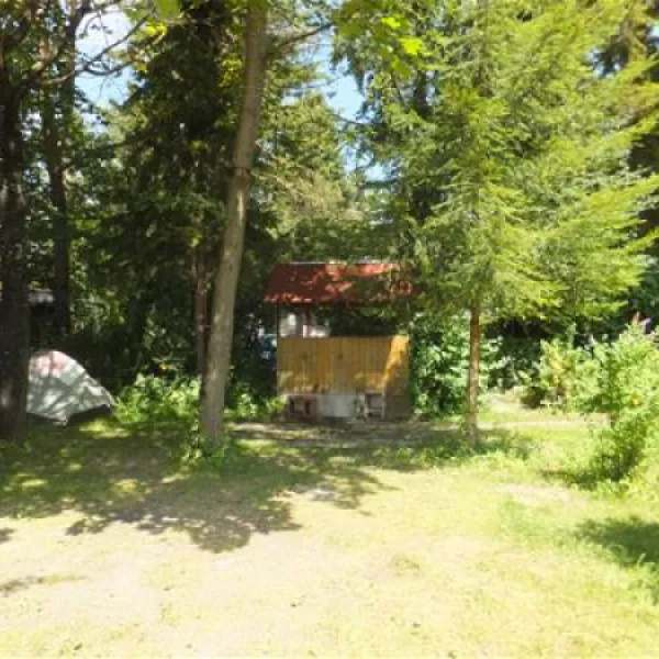 campingplatz-ammertal-peienberg-9ndt2