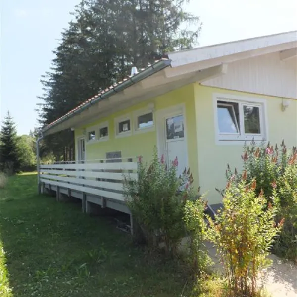 campingplatz-ammertal-peienberg-iluat