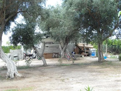 albania-camping-kranea-livadh-himare-dsaf8
