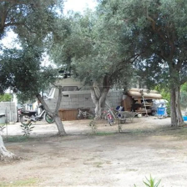 albania-camping-kranea-livadh-himare-dsaf8