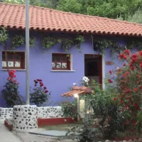 campsite-ouranoupoli-ouranoupolis-eppf0