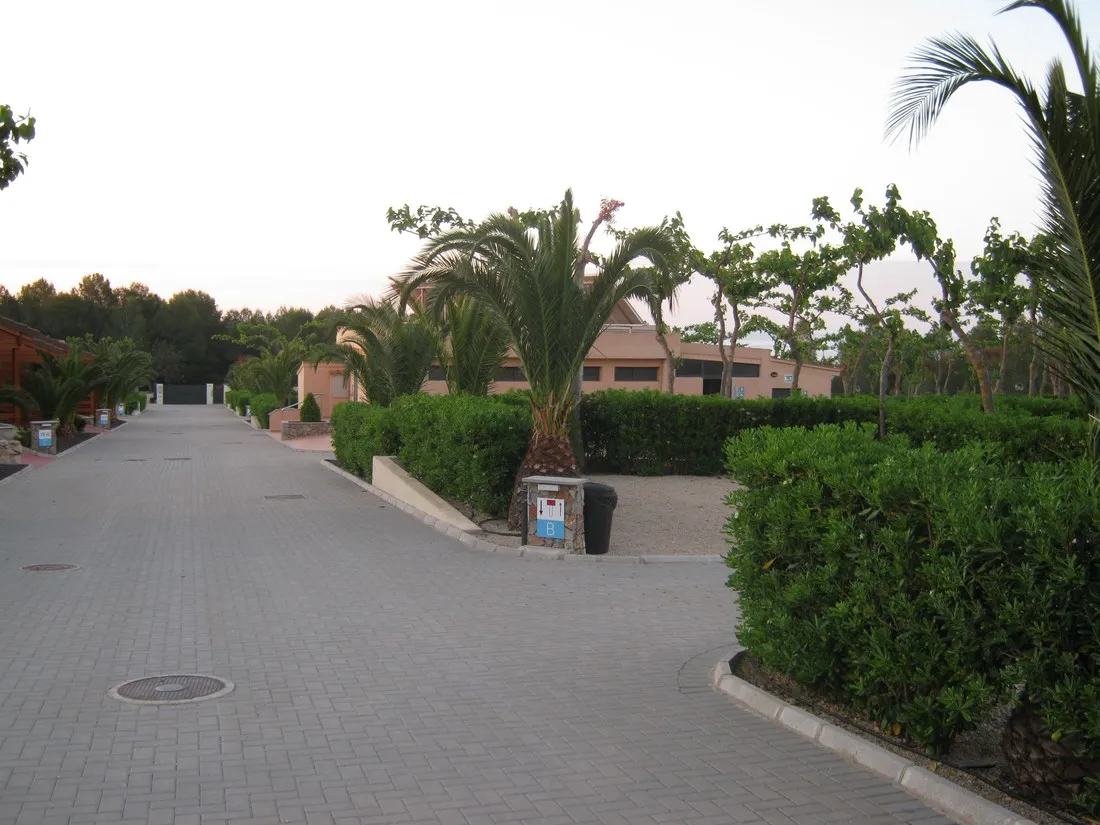 camping-ribamar-alcossebre-jf8zb