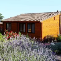 camping-ribamar-alcossebre-ve1yw