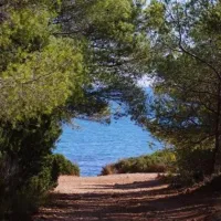 camping-ribamar-alcossebre-vqdt4