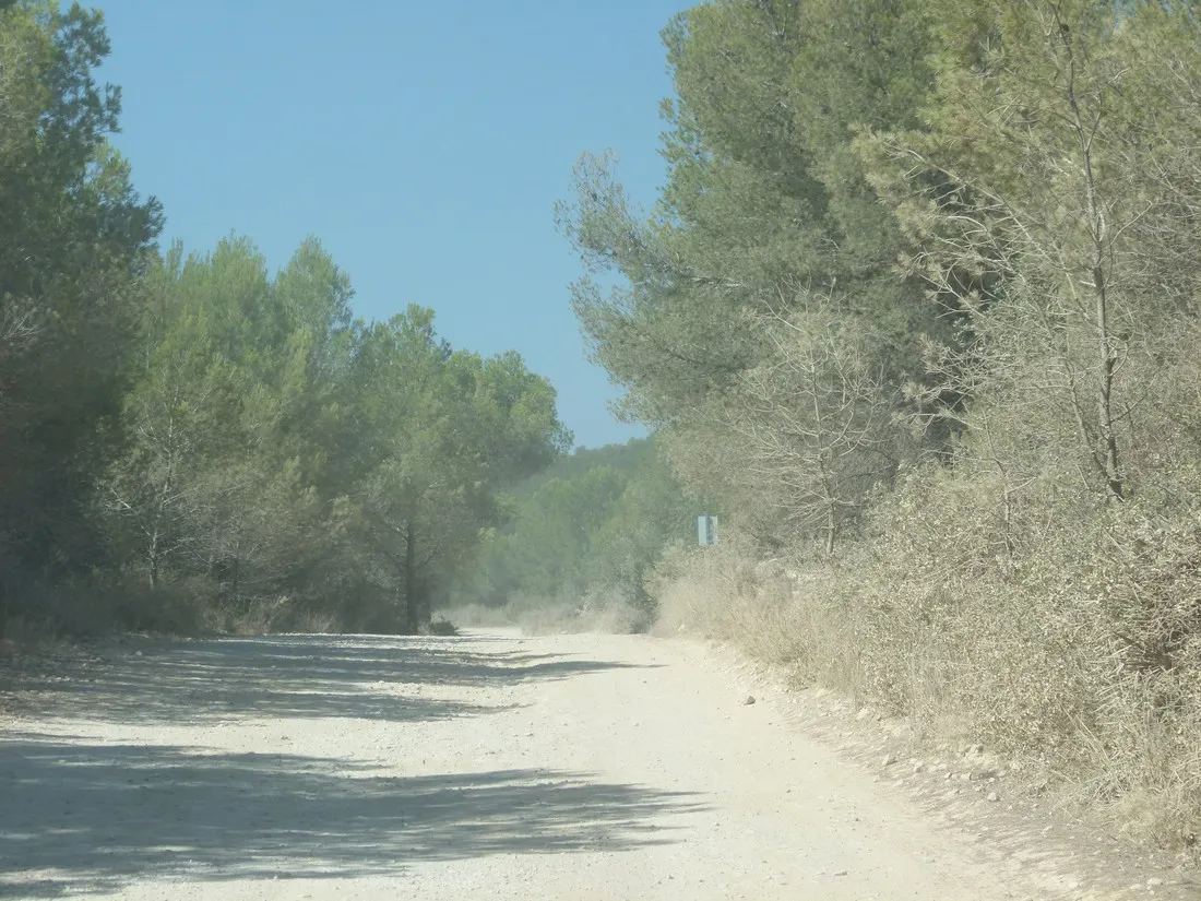 camping-ribamar-alcossebre-yzbgu