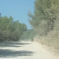 camping-ribamar-alcossebre-yzbgu