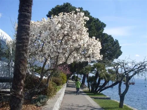 camping-delta-locarno-rbntz