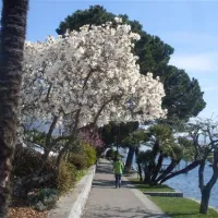 camping-delta-locarno-rbntz