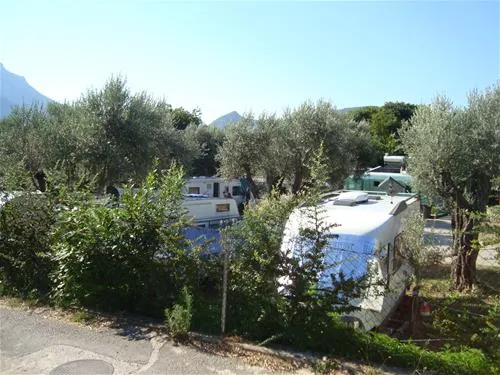 camping-maslina-petrovac-4yd6b