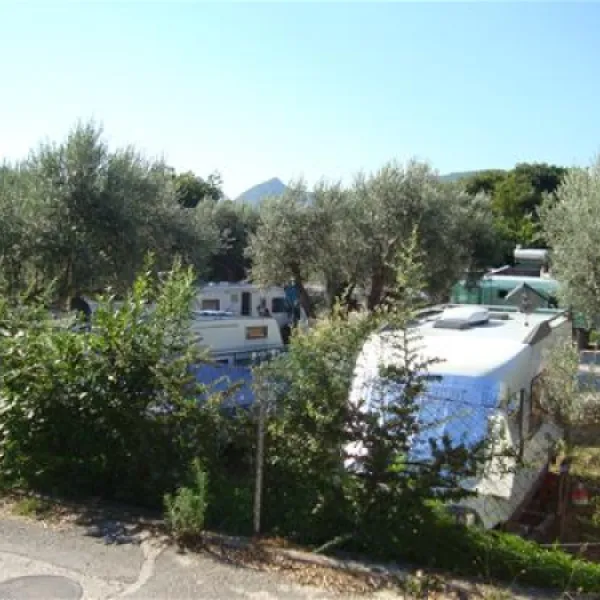 camping-maslina-petrovac-4yd6b