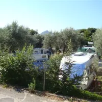 camping-maslina-petrovac-4yd6b