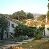 camping-maslina-petrovac-5o0yy