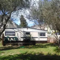 camping-maslina-petrovac-8okwq