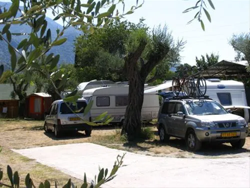 camping-maslina-petrovac-9olf9