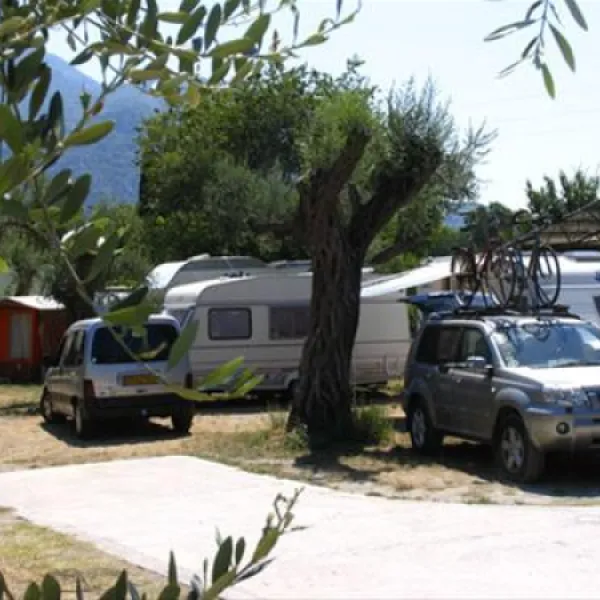 camping-maslina-petrovac-9olf9