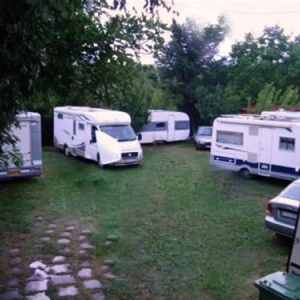 camping-maslina-petrovac-9rare