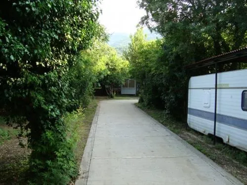 camping-maslina-petrovac-hllvg