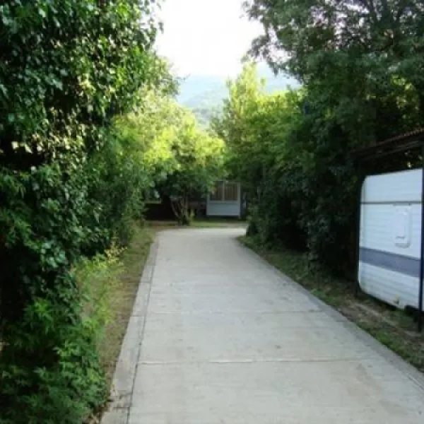 camping-maslina-petrovac-hllvg