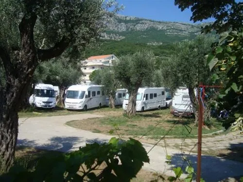 camping-maslina-petrovac-i77sm