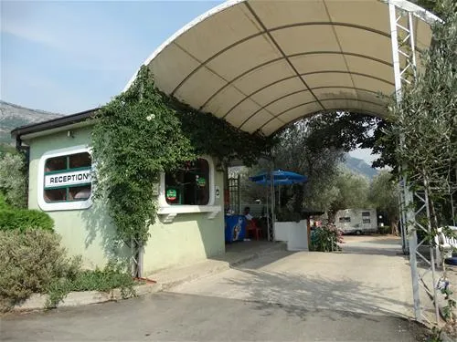 camping-maslina-petrovac-jeout
