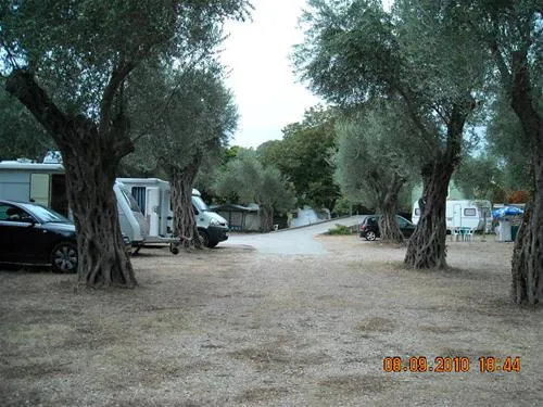 camping-maslina-petrovac-rvgyo