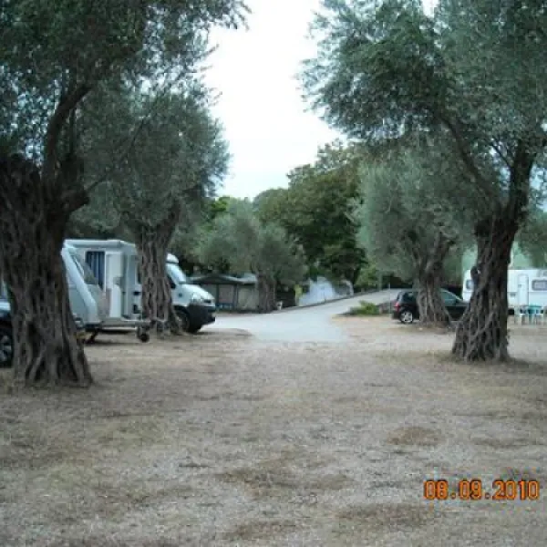 camping-maslina-petrovac-rvgyo