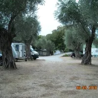 camping-maslina-petrovac-rvgyo
