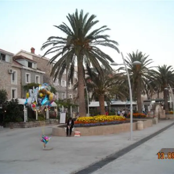 camping-maslina-petrovac-xvly2