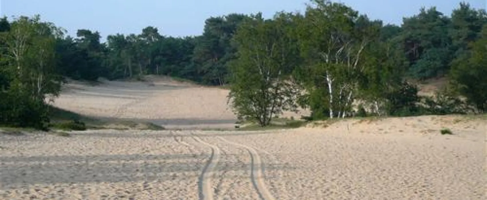 Kampeerboederij De Runsvoort