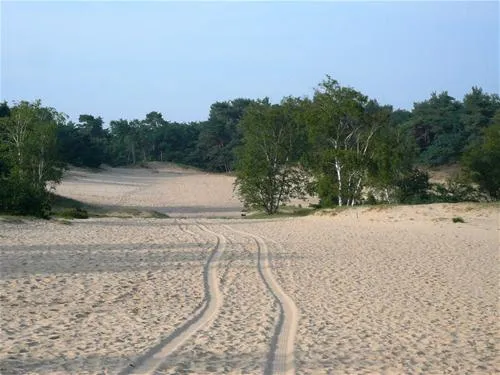kampeerboederij-de-runsvoort-helvoirt-eyy5c