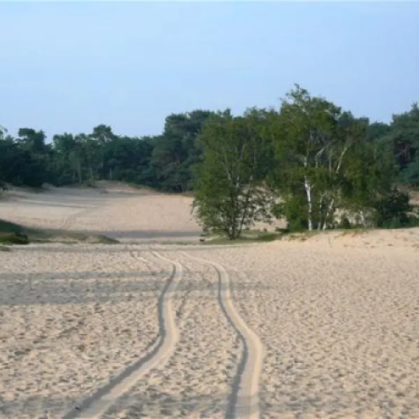 kampeerboederij-de-runsvoort-helvoirt-eyy5c
