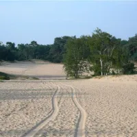Kampeerboederij De Runsvoort