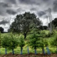camping-alentejo-evoramonte-gonb3