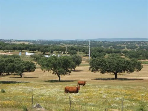 camping-alentejo-evoramonte-qgeav