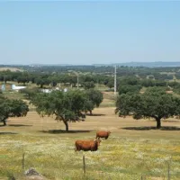 camping-alentejo-evoramonte-qgeav