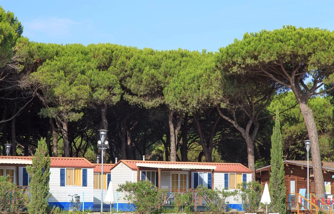 pineta-sul-mare-camping-village-cesenatico-wfhyk