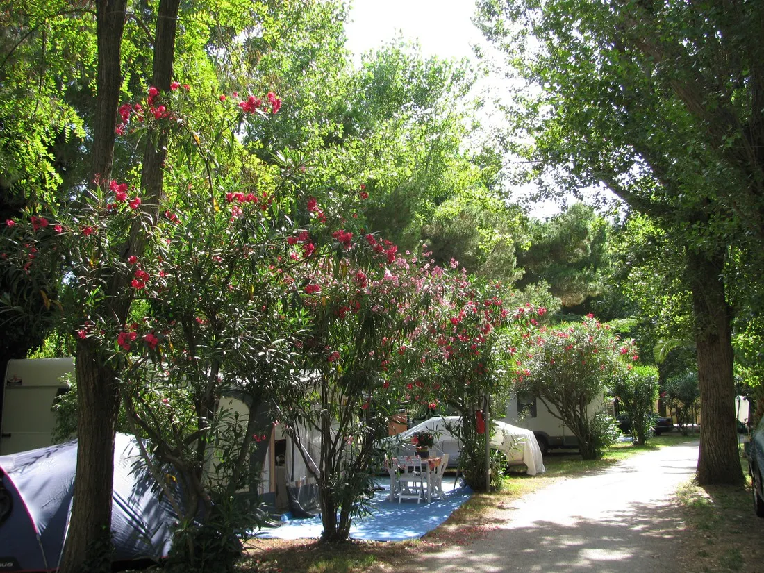 camping-le-stade-argeles-sur-mer-jbyzi