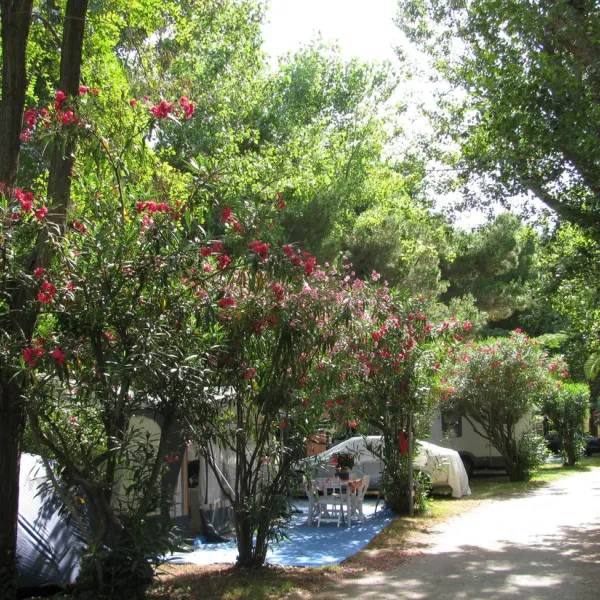 camping-le-stade-argeles-sur-mer-jbyzi