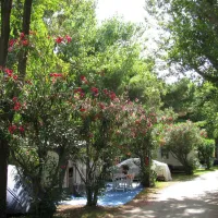camping-le-stade-argeles-sur-mer-jbyzi