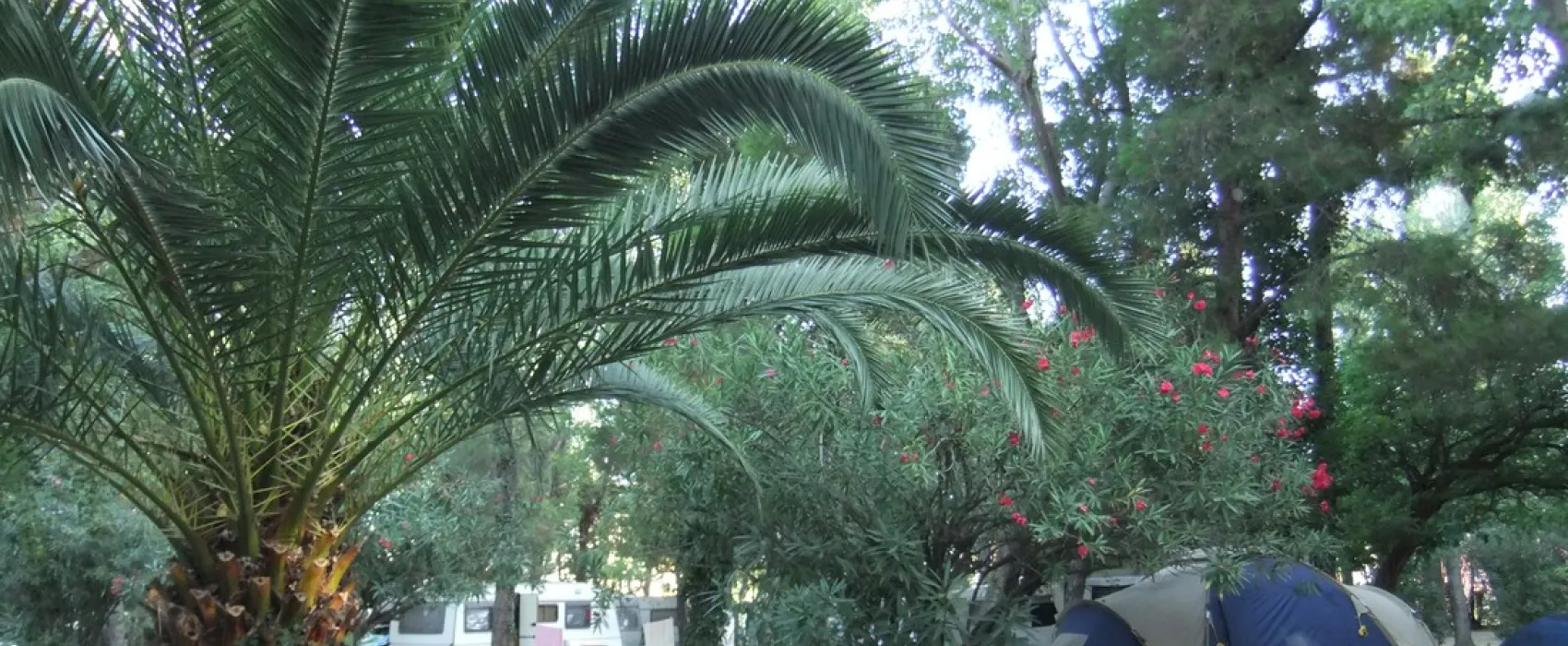 Camping Le Stade  