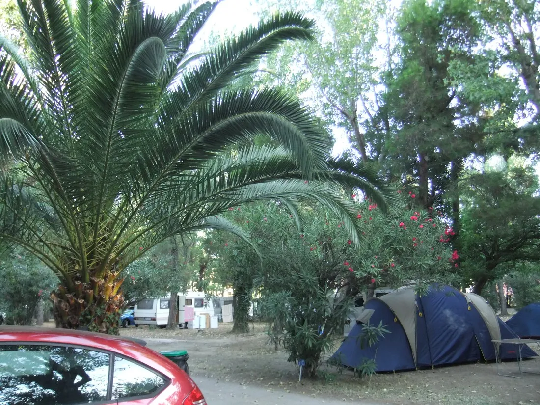 camping-le-stade-argeles-sur-mer-moojy